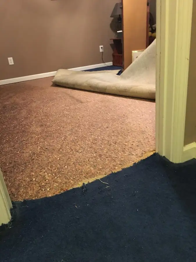 Carpet pad removal revealing water damage during Drying & Dehumidification in Rohnert Park