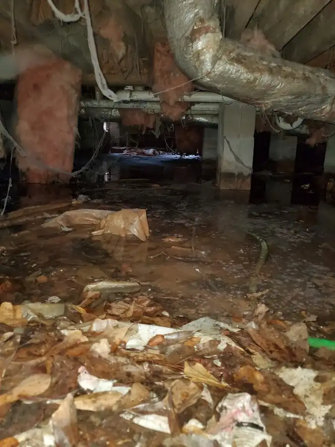 Crawl space flood assessment for Commercial Water Damage Restoration in Rohnert Park